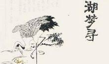 陶庵梦忆经典句子