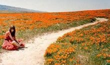 对人失望又可怜的句子