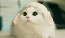 祝自己永远开心的句子