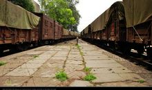 关于亲情生活哲理的句子说说心情