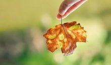 珍惜缘分亲情的句子说说心情