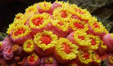 优美句子短句摘抄大全