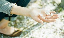 写给父母亲情的句子英文句子