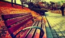 优美文艺励志的短句子