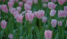 让自己保持清醒的毒鸡汤句子 现实又扎心的说说