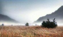 有意境的旅行句子简短