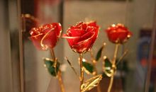 愿你幸福开心的句子