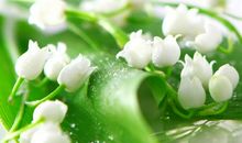 写写亲情议论和抒情的句子