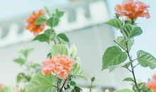 哲理高冷句子说说心情