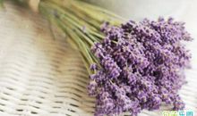 给老人的早安心语 早上给长辈的早安问候语