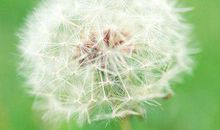 句句说到心坎上的句子