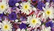 想让别人开心的句子