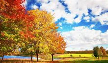 认识新朋友发朋友圈的句子