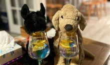 朋友圈喝点小酒的说说 女人喝点小酒说说心情