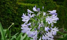 赞美亲情的句子的话语