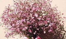 哲学开心的句子说说心情