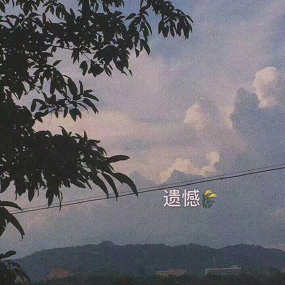 初冬的月亮晴朗而寒冷