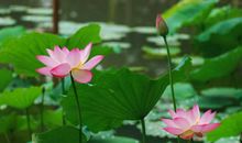 关于朋友突然相见很开心的句子