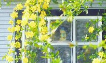 说说佛道心静的句子