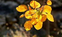 描写周末开心的句子