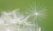 最开心的经典句子说说心情