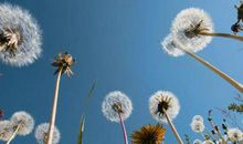 不需要理由就开心的句子