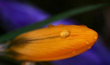 句句受用人生感悟的经典句子