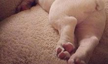 一瞬间开心的句子