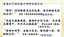 写酒抒情的诗句