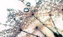 朋友一起开心吃喝的句子