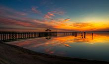 口号的英文单词