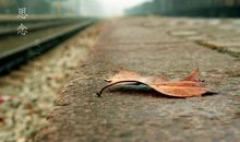 qq个性签名想念