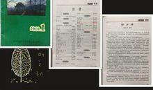 描写乡情的诗句