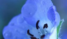 形容旅游愉快开心的句子说说心情