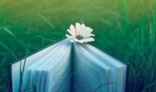 感恩朋友的句子