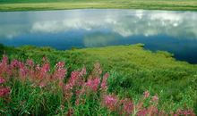 人生百态经典句子45句