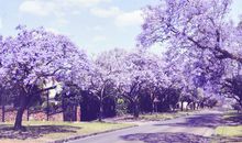 一句话感悟简短心情说说句子