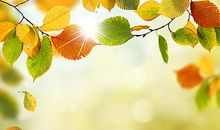 描述员工在公司开心工作的句子