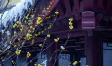 古风仙气说说签名 带仙气冷漠古风签名