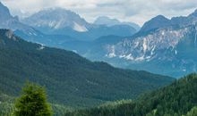 夏天的经典诗句有哪些