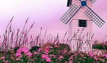 累了就放过自己的说说