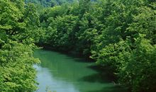 《魔警》经典台词