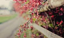 自己心静的句子