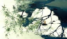 关于古风的优美句子