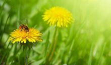 夸赞女人漂亮的句子