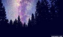 有关描写星星的句子