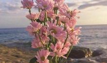 2020最新表白的句子 适合表白的土味撩人小情话