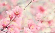 2020唯美的句子签名