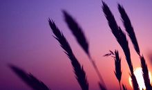 和女朋友分手了的说说