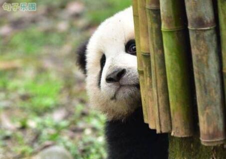 我问消息中有什么